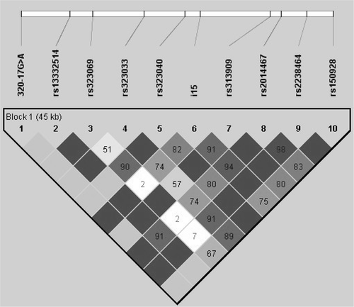 Figure 2 Haploview display of the pairwise linkage disequilibrium(D′) values for ABCA3 tagging single nucleotide polymorphisms and intron‐15 length variation (i15). Names and relative positions of the polymorphism are shown on top. The number in the square is the D′ value for each pairwise comparison. When no number is shown, linkage disequilibrium is complete (D′ = 1).