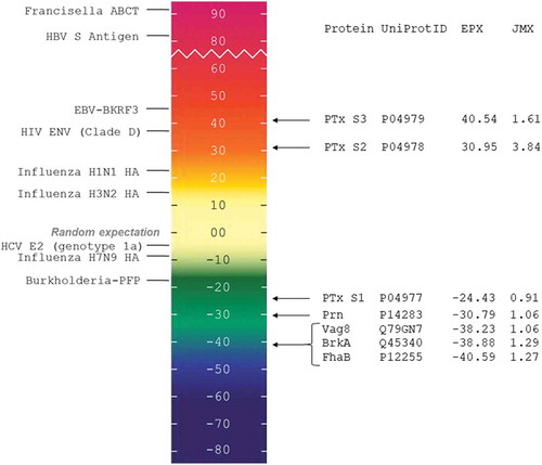 Figure 1. EpiMatrix Protein Immunogenicity Scale. EpiMatrix Protein Immunogenicity Scores (EPX) higher than 20 are considered to be potentially immunogenic. On the left of the scale we have included some well-known proteins for comparison. Note that the low-scoring proteins near the bottom of the scale are known to engender little to no immunogenicity while the higher scoring proteins near the top of the scale are all known immunogens. JanusMatrix Homology Scores (JMX) indicates the level of homology between epitopes present in the source antigen and with epitopes derived from the human proteome.