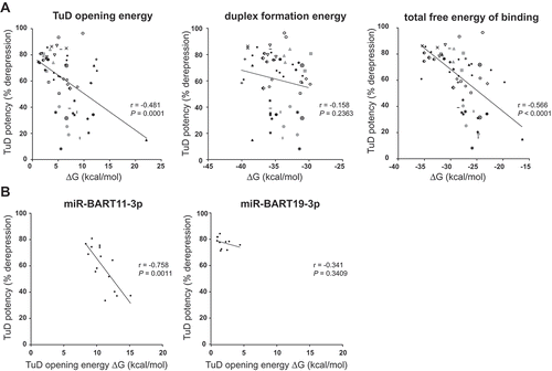 Figure 2. TuD RNA potency correlates with thermodynamic properties of the decoy.(A) Scatter plots displaying TuD potency versus free energies of 60 different TuDs targeting a total of 31 different EBV miRNAs. HK-1 cells expressing an EBV miRNA cluster and a specific 24 miRNA reporter were lentivirally transduced with a corresponding TuD, followed by flow cytometric analysis of miRNA reporter expression. The TuD opening energy, miRNA-TuD hybridization energy and total free energy (sum of opening energy and hybridization energy) were calculated using RNAup from the Vienna RNA package (Citation45). Each data point represents a single TuD; for some miRNAs multiple TuD variants were analyzed, which contain the same MBS but different 4 nt bulge sequences. Different TuDs targeting the same miRNA (‘families’) are presented using corresponding symbols/colors. For multiple different BART miRNAs we only tested one specific TuD, all these are indicated by the small black dots. The Pearson correlation coefficients and the corresponding P-values (two-tailed) are indicated. (B) HK-1 cells expressing EBV miRNAs were transduced with the miR-BART11-3p or the miR-BART19-3p mCherry reporter and one of multiple TuDs of which only the bulge sequences varied. The scatter plots show TuD potencies versus opening energies of the TuDs.