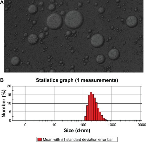 Figure 1 (A) Microscopy image of freshly prepared HSYA-SDEDDS transformed into w/o/w double emulsions after 2-minute dilution with dispersion medium. (B) Size distribution of the formulation after formation of fine w/o/w double emulsions.Abbreviations: HSYA, Hydroxysafflor yellow A; SDEDDS, self-double-emulsifying drug delivery system; w/o/w, water-in-oil-in-water.