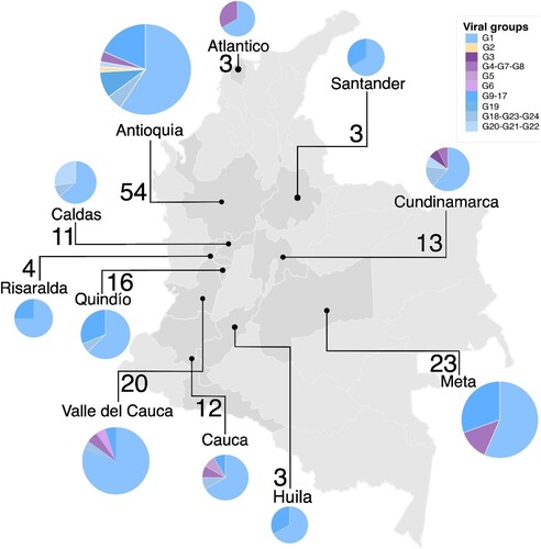 Figure 3. Frequency and spatial distribution of the swine influenza virus in Colombia. Pie charts indicate frequency of viral groups per location. Pie chart colours represent the viral groups according to the genetic constellations of IAV genomes. Values close to the pie charts are number of viruses analysed from that location.