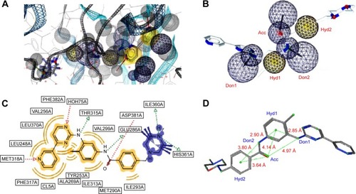 Figure 1 A pharmacophore model used to screen for potential active compounds against the 1IEP target.