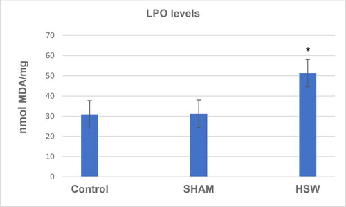 Figure 4. LPO levels in ovarian tissues of rats in all groups. *indicates significant difference compared to the Control group (p < 0.05). Note: Control, no procedure was applied to rats; Sham, a loudspeaker was placed in the center of each cage, but the rats were not exposed to noise; HSW, rats were exposed to 102 dB SPL (±1.5 dB) octave band noise centered at 50 kHz.