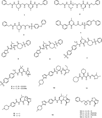 Figure 3. Molecular structures of Cat K inhibitors based on ketone warhead.