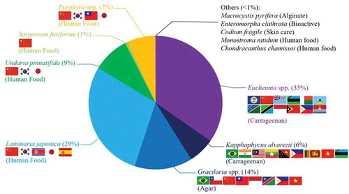 Fig. 1. Per cent seaweed aquaculture production per species and countries – year 2014. Actual main uses of each species were included. Source: FAO (Citation2016).
