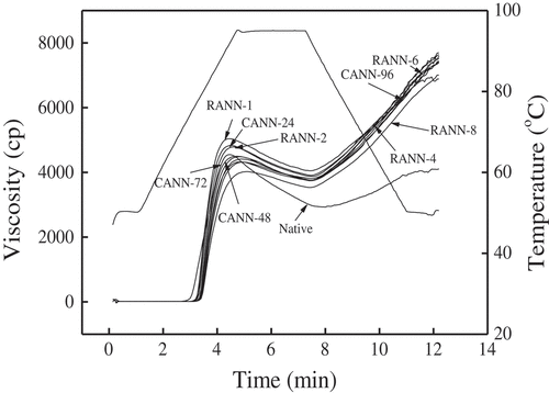 Figure 4. RVA-viscograms of native, RANN, and CANN starch samples