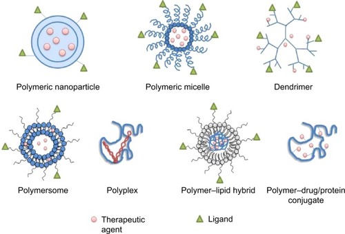 Figure 1 Schematic illustration of polymeric nanoparticle platforms.Note: Blue color represents the polymeric platform.