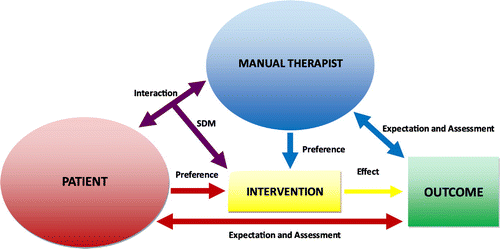 Figure 1. A comprehensive approach to manual physical therapy effectiveness accounting for interactions between patient, therapist, and intervention factors. Examples of factors include preferences, expectations, outcome assessment, and shared decision-making (SDM).