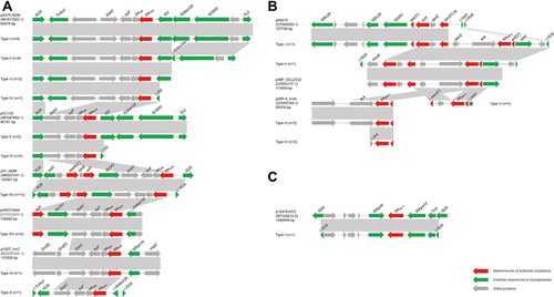 Figure 4 Genetic environments of Carbapenem resistance genes. (A) blaNDM (B), blaIMP and (C) blaKPC. Arrows, direction of transcription and genes are grouped by colour. Regions of ≥99.0% nucleotide sequence identity are shaded grey. Δ, truncated gene.