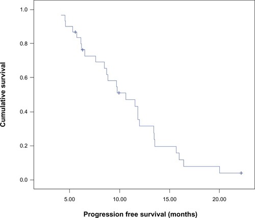 Figure 1 Kaplan–Meier curve for progression-free survival of the whole group of patients.