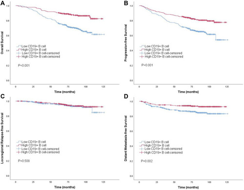 Figure 2 Kaplan–Meier survival curves of high and low CD19+ B cell groups based on overall survival (A), progression-free survival (B), locoregional relapse-free survival (C), distant metastasis-free survival (D) in NPC patients.