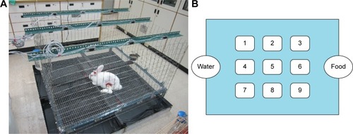 Figure 5 The device for animal activity test.Notes: (A) The animal bioactivity cage. (B) The layout of the cage. Each number in the cage represents the sensor number.