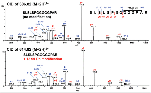 Figure 3. Low-resolution CID mass spectra of unmodified and +15.99 Da modified ([M+2H]2+ = 614.82) linker peptide SLSLSPGGGGGPAR. The modification can be localized to the GGGPAR portion of the sequence by the difference in y6 ions. Different b13 ions eliminate the C-terminal R.