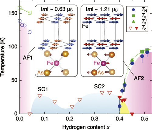 Figure 11. Magnetic, structural and superconducting phase diagram of LaFeAsO1−xHx. The original parent compound with x = 0 exhibits a structural transition at Ts = 155 K, followed by an antiferromagnetic state (AF1) at TN = 137 K. With increasing x, two superconductivity domes appear: 0.05 ≤ x ≤ 0.20 (SC1) with Tc,max = 26 K, and 0.20 ≤ x ≤ 0.42 (SC2) with Tc,max = 36 K. Eventually, another antiferromagnetic phase (AF2) appears in the range 0.40 ≤ x ≤ 0.51. In the advanced parent compound at x = 0.51, structural and magnetic transitions occur at Ts ∼ 95 K and TN = 89 K, respectively. Ts’ indicates the c axis upturn temperature observed in x-ray measurements. The filled and open marks are obtained from the present and previous results, respectively. The magnetic structures of AF1 (left) and AF2 (right) are shown with their magnetic moments m, where the solid lines represent the tetragonal cell. The displacements of the Fe and As atoms across the structural transitions are schematically described by the arrows on the FeAs4 tetrahedra from the view of the orthorhombic long axis, in which the Fe and As atoms move by 0.07 Å (0 Å) and 0.06 Å (0.01 Å) in x = 0.51 (x = 0), respectively. The error bars represent the uncertainty in the least-squares fitting routines. Reprinted with permission from Macmillan Publishers Ltd: [Citation211], Copyright 2014.