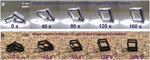 Figure 31. Restoration of the undeformed shape of a 3D-printed, light-triggered, thermal-responsive SMP: (a) in response to an 87 mW cm2 light source and (b) in respnse to sunlight. Note that the largest material displacement occurred between 0 and 40s and that the amount of displacement decreased in each subsequent time frame. Images reprinted with permission from [Citation165].