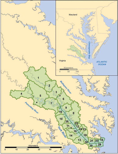 Figure 2. York River estuary subwatershed boundaries and numbers.