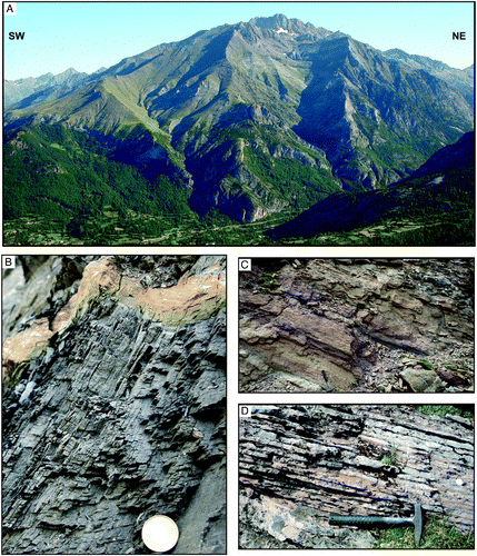 Figure 2. (A) General view above the Caldares river, NE Panticosa, showing an alternation of Devonian massive limestones and slates deformed by Variscan folds. The upper part of the mountain, the grasslands, corresponds to the outcrop of Emsian to Eifelian slates. Coordinates: 42° 42′ 44″N; 0° 16′ 29″O. (B) Detail of an outcrop of slates showing two cleavages and a sandstone intercalation at the top. (C) Aspect in the field of the ferruginous limestones above Emsian slates and (D) Carboniferous limestones in ‘griotte’ facies.