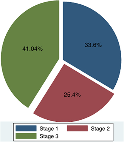 Figure 1 Acute kidney injury (AKI) stage based on Acute Kidney Injury Network (AKIN) classification.