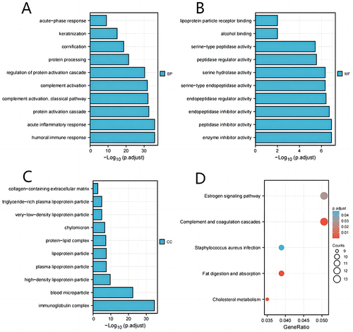 Figure 3 GO/KEGG enrichment analysis of DEGs between high- and low- TSTD2 expression in TCGA-KIRC patients. (A) Enriched GO terms in the “biological process” category. (B) Enriched GO terms in the “molecular function” category. (C) Enriched GO terms in the “cellular component” category. (D) KEGG pathway annotations. The X-axis represented the proportion of DEGs, and the Y-axis represented different categories. The different colors indicate different properties, and the different sizes represent the number of DEGs.