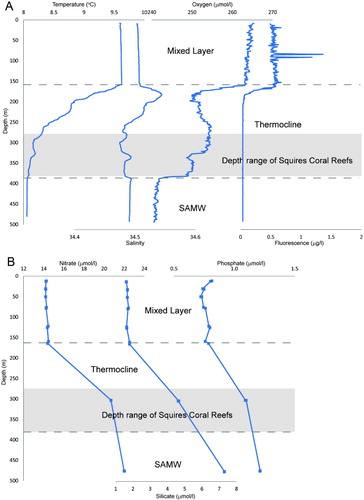 Figure 7 Water column data. A, CTD in situ calibrated measurements of temperature, salinity and oxygen from seabird sensors; B, bottle data measured for nutrients, nitrate, phosphate and silicate. Dashed lines indicate the different water masses–mixed layer in the upper 157 m, and the SAMW (subantarctic mode water) below the thermocline. The shaded area is the depth range where ‘Squires’ Coral Coppice’ was found.