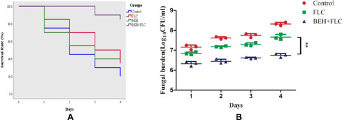 Figure 1 Survival curve (A) and Fungal burden (B) of Galleria mellonella infected with Candida albicans. The concentration of yeast cells was 5×108 CFU/larva. Treatments consisted of phosphate buffered saline (PBS), fluconazole (FLC) (160 μg/mL), benserazide hydrochloride (BEH) (96 μg/mL), and a combination of FLC (160 μg/mL) with BEH (96 μg/mL). For clarity, data for treatment with BEH (B) are not shown because the data obtained closely followed those for the control group. Data are the median of three independent experiments.