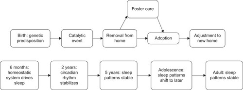 Figure 2 The overlap of sleep development on typical adoption processes.