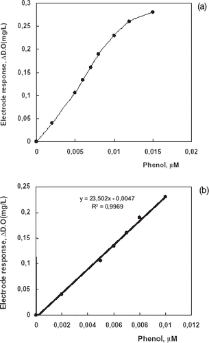 Figure 3 (a) Calibration graph for phenol (in phosphate buffer; 50 mM, pH 8.0, at 35°C.); (b) Linear range for phenol determination.
