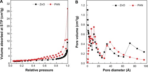 Figure 6 Adsorption-desorption isotherms for ZnO and PAN (A), and Barret-Joyner-Halenda method pore size distribution for ZnO and PAN (B).Abbreviations: PAN, protocatechuic acid nanocomposite; STP, standard temperature and pressure.