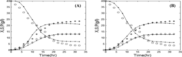 Figure 7. Comparison of the experimental and simulated data of fed-batch fermentation by the Contois model by using GA (a) and PSO (b). Experimental concentrations of X (٭), S (○), and P (◊) vs. simulated data (solid lines). Note: X, biomass (B. licheniformis); S, substrate (glucose); P, product (protease). Initial concentration of substrate is 40 g/L; feed rate = 0.01 L/h.