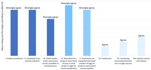 Figure 3. Expert rated stages in influenza vaccine manufacture most likely to impact VE. Strongly agree (dark blue, score 3.5–4): global surveillance and WHO CVV selection; Strongly agree (blue, score 4–4.5): manufacturing stages involving eggs; agree (light blue, score 2–2.5): purification, batching, quality control/release.