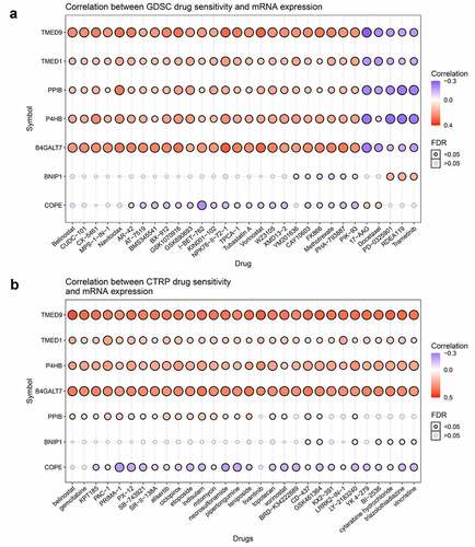 Figure 6. Correlations between TMED9 mRNA expression and drug sensitivity. (a) GDSC and (b) CTRP data for pan-cancer analysis. GDSC, genomics of drug sensitivity; CTRP, Genomics of therapeutics response portal; FDR, false discovery rate