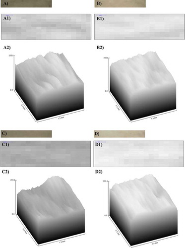 FIGURE 4 Examples of (A, B) top section (TS) and (C, D) bottom section (BS) of the surface of agglomerate’s fragments without image processing obtained under applied load of (A, C) 50 N and (B, D) 500 N. (1) 8-bit image (gray scale) at 3200% zoom in which pixels are shown in detail. (2) Surface intensity gray plot obtained from (1). (p-value between loads = 0.047.)