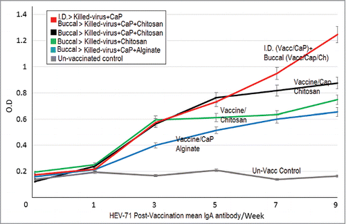Figure 7. Changes of HEV71 IgA antibody responses. The profile of mean IgA antibody levels in immunized Rabbits during the study (9 weeks); The combined dual immunized group display continual elevation in IgA antibody (week-5 up to week-9) than those groups immunized with a single route. 1-Vaccine loaded in Chitosan, 2-Vaccine-Adjuvant loaded in Chitosan, 3- Vaccine-Adjuvant loaded in Alginate, 4-Intradermal (Vaccine-Adjuvant) & Oral (Vaccine-Adjuvant loaded in Chitosan) combined routes and5-Rabbits control group, (P = 0.0004).