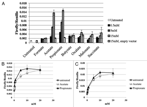 Figure 1. Olfr78 was found to respond to acetate and propionate, but not any other ligands tested, including other mono- or di-carboxylic acids (A). Dose-response curves for Olfr78 (B) and it’s human ortholog, OR51E2 (C) indicate that both receptors are slightly more responsive to propionate than to acetate, with EC50 values in the high µM-low mM range (Olfr78: EC50 = 2.35 mM for acetate and 0.92 mM for propionate; OR51E2: EC50 = 2.93 mM for acetate and 2.16 mM for propionate). Figure modified from reference Citation18.