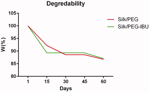 Figure 4. The molecular weight of electrospun fibrous scaffolds containing ibuprofen drug, after keeping warm in PBS medium.