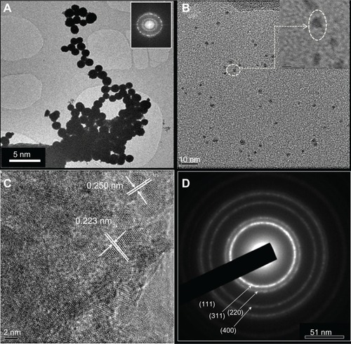 Figure 3 (A) Low magnification transmission electron microscopy of spherical iron–platinum nanocrystals, (B) randomly scattered particles, (C) high resolution transmission electron microscopy of a highly polycrystalline iron–platinum particle with well-defined fringes, and (D) electron diffraction beam pattern.