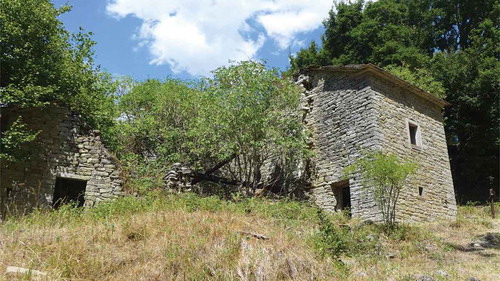Figure 6. Abandoned settlement at the Romiti plain (now property of the Foreste Casentinesi National Park). Photo: Andreas Haller (2017).