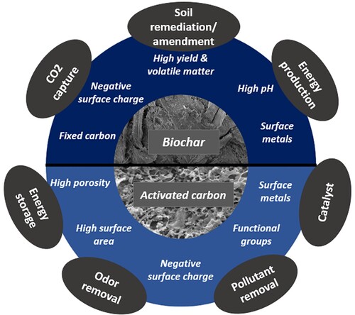 Figure 6. Potential applications of biochar and activated carbon.