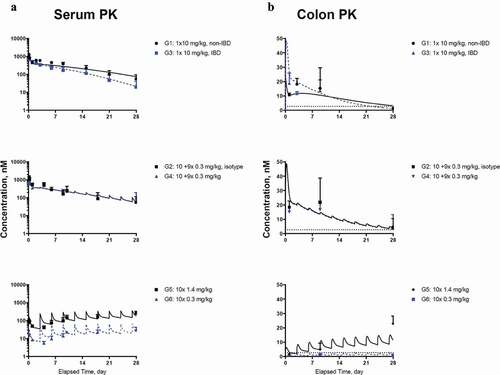 Figure 4. Model fitting for (a) CNTO 5048 in serum; (b) CNTO 5048 in colon homogenate Symbols represent the observed data (mean±SD); solid black lines and blue dashed lines represent model fitting results. The LLOQ of CNTO 5048 in serum and colon tissue were 0.533 and 2.67 nM, respectively. LLOQ for colon shown in black dotted lines, while serum mean concentrations are above LLOQ for all groups and therefore the LLOQ for serum is not shown.