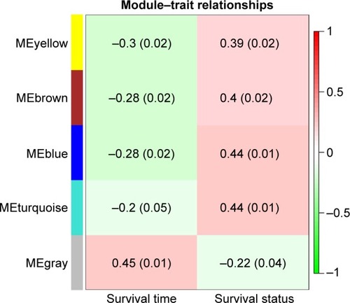 Figure 2 Module–trait relationships. Each row corresponds to a color module and column to clinical features (survival time and survival status). Each cell contains the corresponding relational value (r) in the first line and the P-value in the second line.