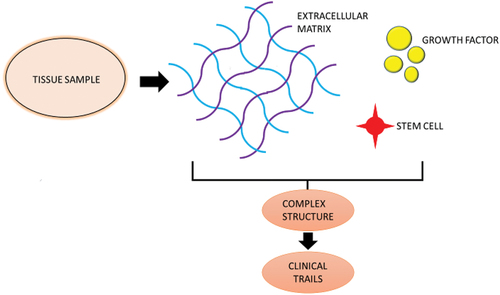 Figure 4. Biomaterials for the development of bionic organs.