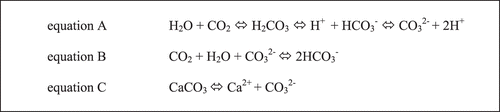 FIGURE 1: Three chemical equations essential to hypothesizing how ocean acidification may affect certain marine organisms (see text for explanation).