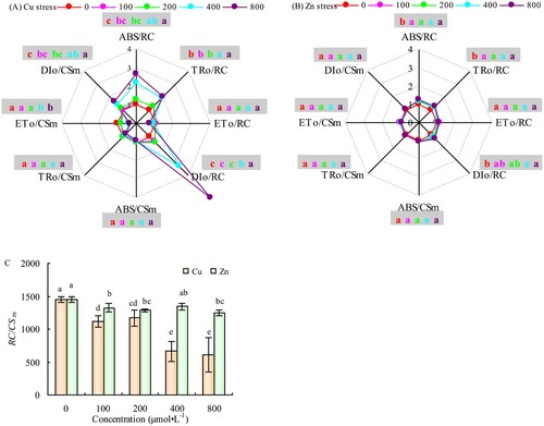 Figure 5. Effects of Cu (A) and Zn (B) treatment on energy distribution parameters of PSII reaction center and RC/CSm (C) in alfalfa leaves. Note: The data in the figure are from three biological repeats (n = 3), and represent means ± standard error (SE). Significant differences were expressed by different letters (p< 0.05).