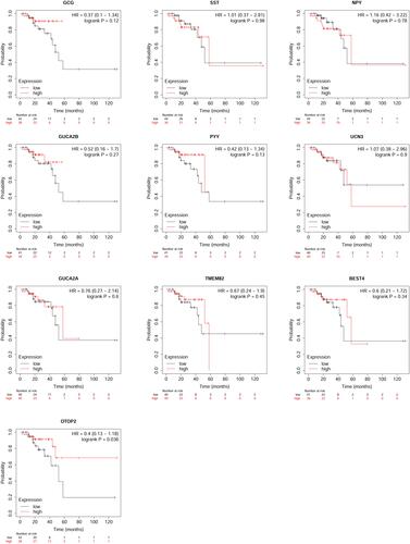 Figure 5 Kaplan–Meier survival analysis of patients with CRC. The association between the expression levels of GCG, SST, NPY, GUCA2B, PYY, UCN3, GUCA2A, TMEM82, BEST4 and OTOP2 and the overall survival of patients with CRC was analyzed using the KM-Plotter online tool. A total of 80 patients with CRC was included in the analysis.