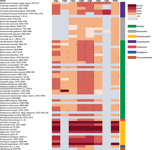 Figure 3. Presence/Absence of predicted glycogen biosynthetic and degradative enzymes in gut bacteria.