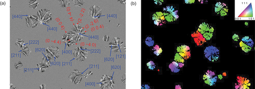 Figure 2. (a) The observed SEM images of InSiO film detected by backscattered electrons during the crystallization process of amorphous film at 300 °C. (b) The observed EBSD-normal direction (ND) images in the same region.