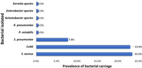 Figure 2 Prevalence of bacteria isolated from children with SCD (n = 204).