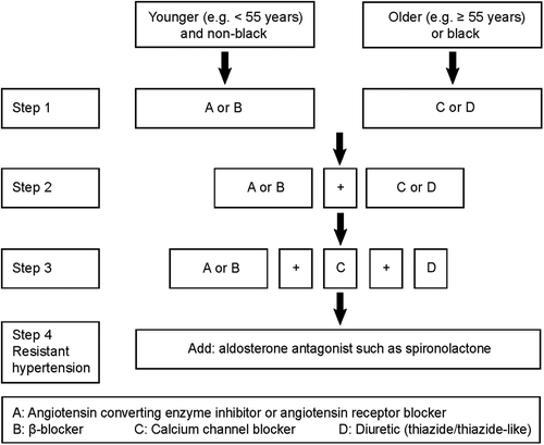 Figure 2. INSPiRED algorithm for adjustment if antihypertensive drug treatment. Recommendation for combining blood-pressure lowering drugs according to the ABCD rule. Modified from: JBS 2: Joint British Societies’ guidelines on prevention of cardiovascular disease in clinical practice. British Cardiac Society, British Hypertension Society, Diabetes UK, HEART UK, Primary Care Cardiovascular Society, The Stroke Association. Heart 2005;91: supplement 5:v1–52. Copyright © 2005 BMJ. Reproduced with permission from BMJ Publishing Group Ltd.