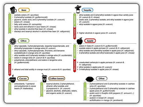 Figure 5. Effect of the deliberate addition of Hanseniaspora starter cultures on a diverse set of foodstuffs. References for beer [Citation4,Citation128,Citation129,Citation230–232], cocoa [Citation233–235], coffee [Citation236,Citation237], citrus [Citation238–240], apple [Citation241–245], tequila [Citation118,Citation246,Citation247], other [Citation248–252].