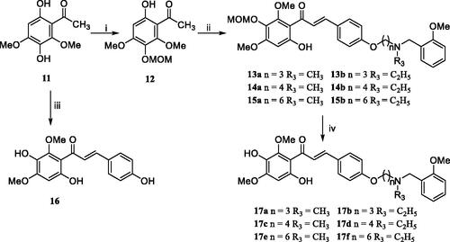 Scheme 2. Synthesis of target chalcone-Vitamin E-donepezil hybrids 16 and 17a–f. Reagents and conditions: (i) chloromethyl methyl ether, (i-Pr)2EtN, acetone, 50 °C, 6–8 h; (ii) 4a–b, 5a–b, and 6a–b, 50% KOH, r.t., 3–4 days; (iii) 1, 50% KOH, r.t., 3–4 days; (iv) 10% HCl, room temperature, overnight.